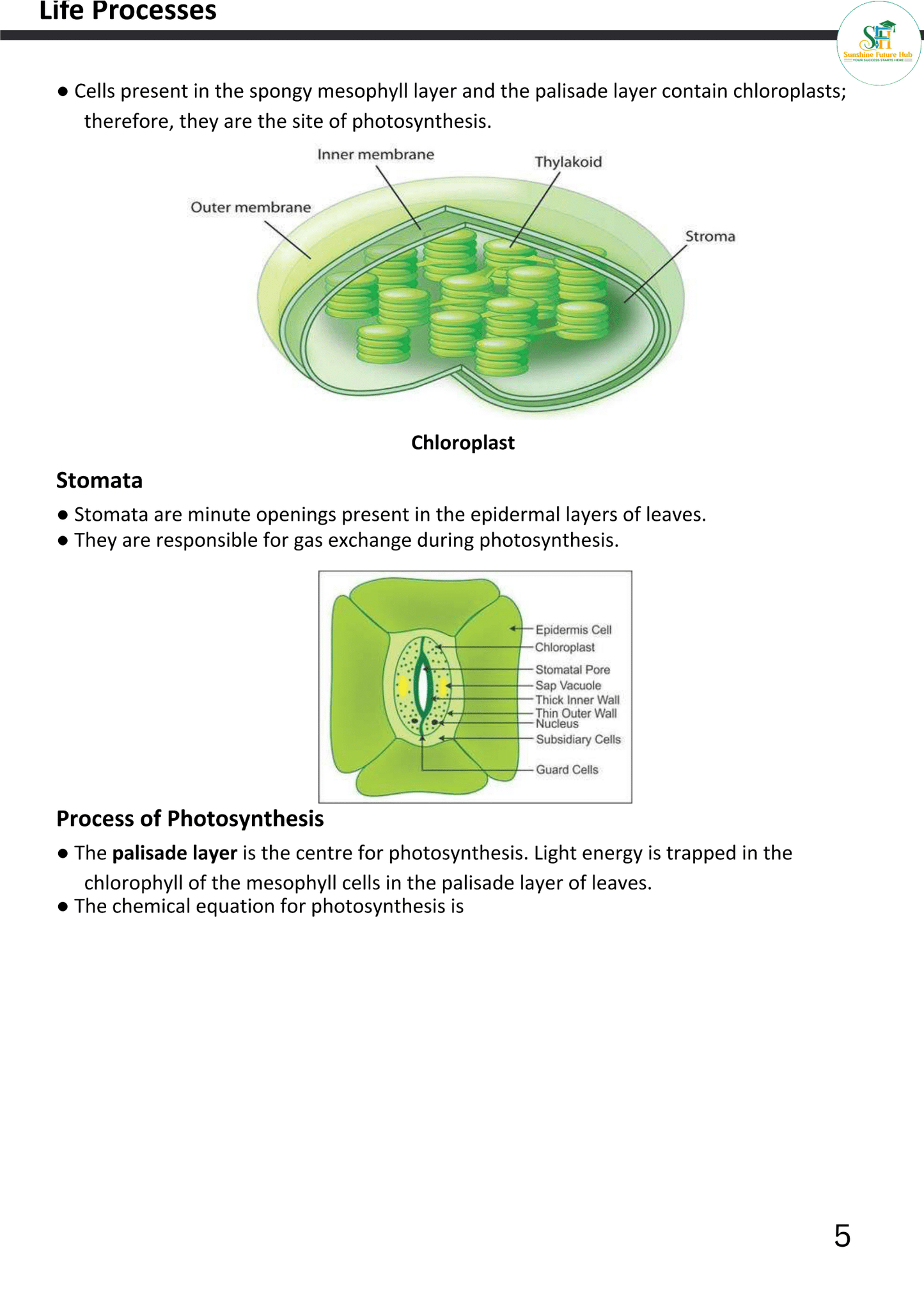 Score 90+ Biology Study Material | Topper's Choice | 90+ Guaranteed